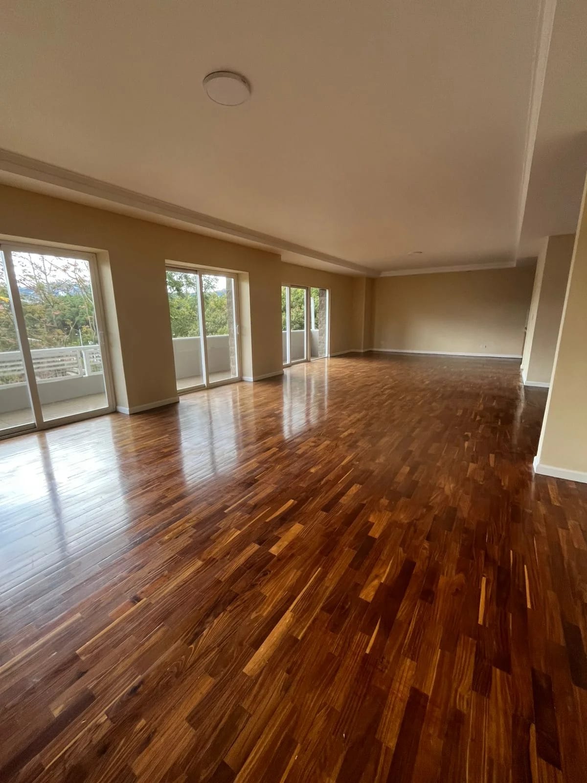 Apartamento en Renta – Zona 14 — foto 1 de 12