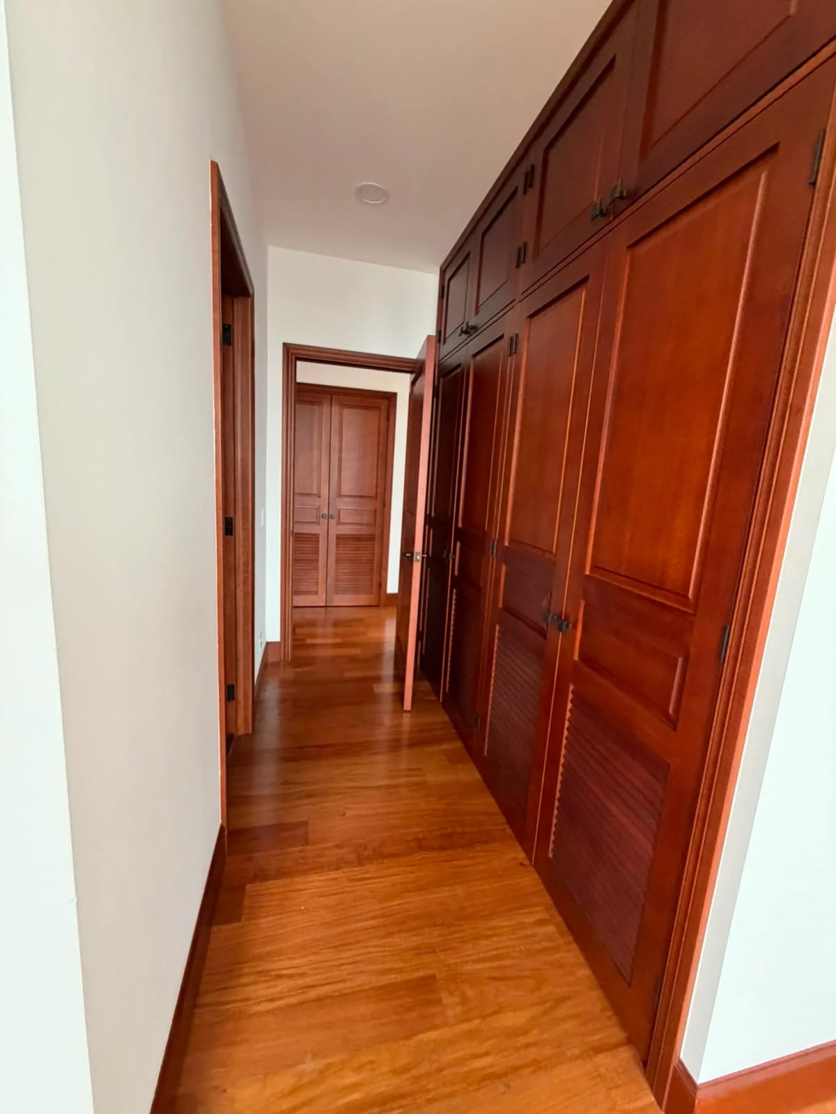 Apartamento en renta zona 15 VH1 — foto 12 de 17