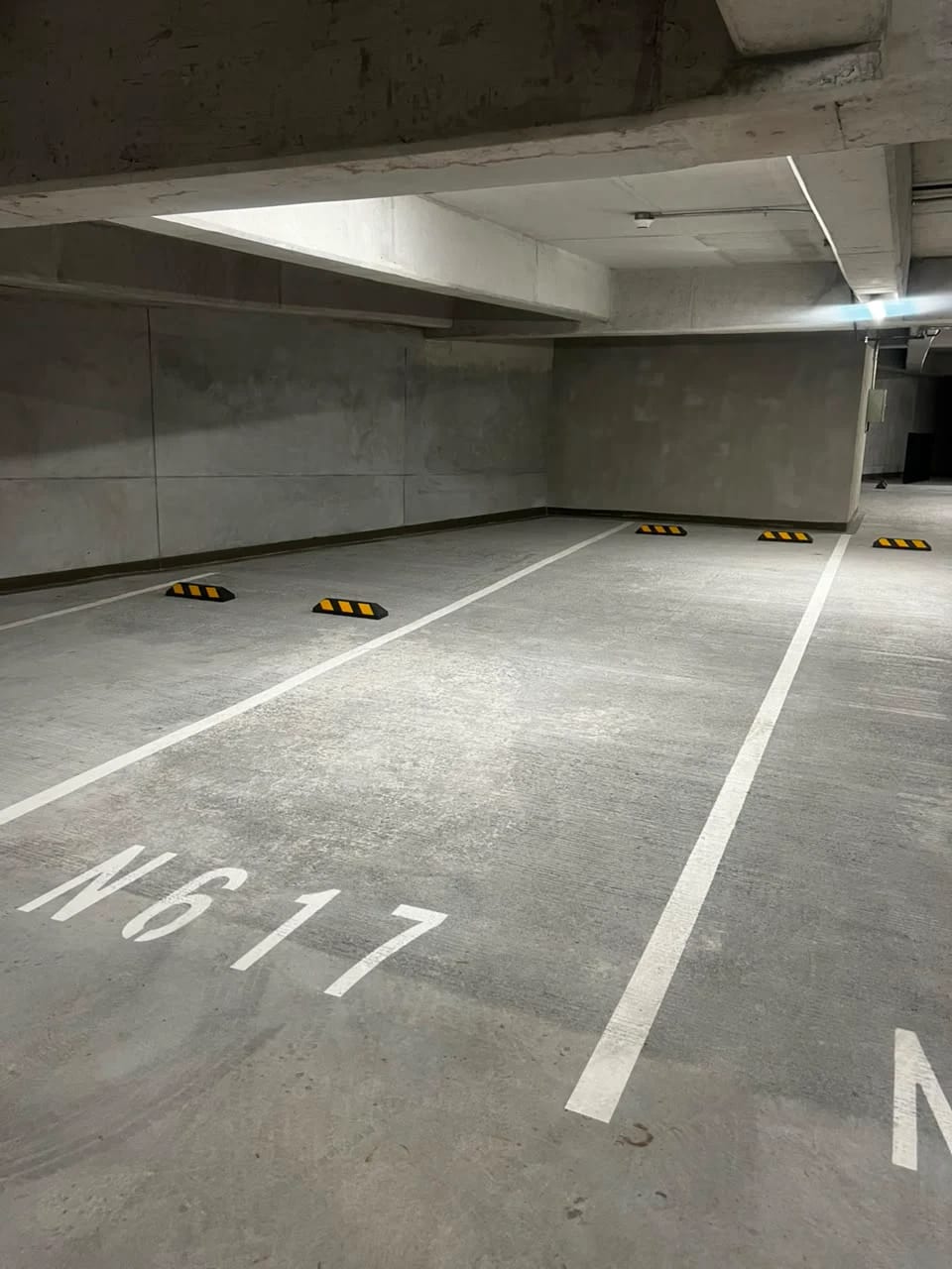 Apartamento en Renta - Edificio Gaura Z15 — foto 12 de 13