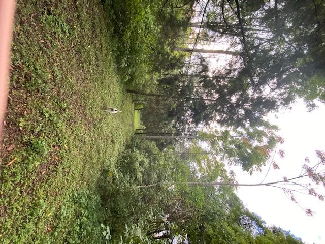 Propiedad en venta Santa Elena Barillas km 31 — foto 5 de 7