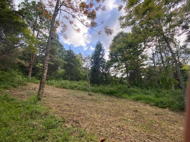 Propiedad en venta Santa Elena Barillas km 31 — foto 4 de 7