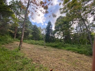 Propiedad en venta Santa Elena Barillas km 31 — miniatura 4 de 7