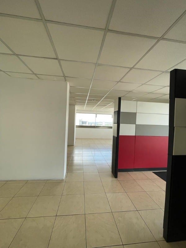 Oficina en venta o renta edificio Torino — foto 11 de 12