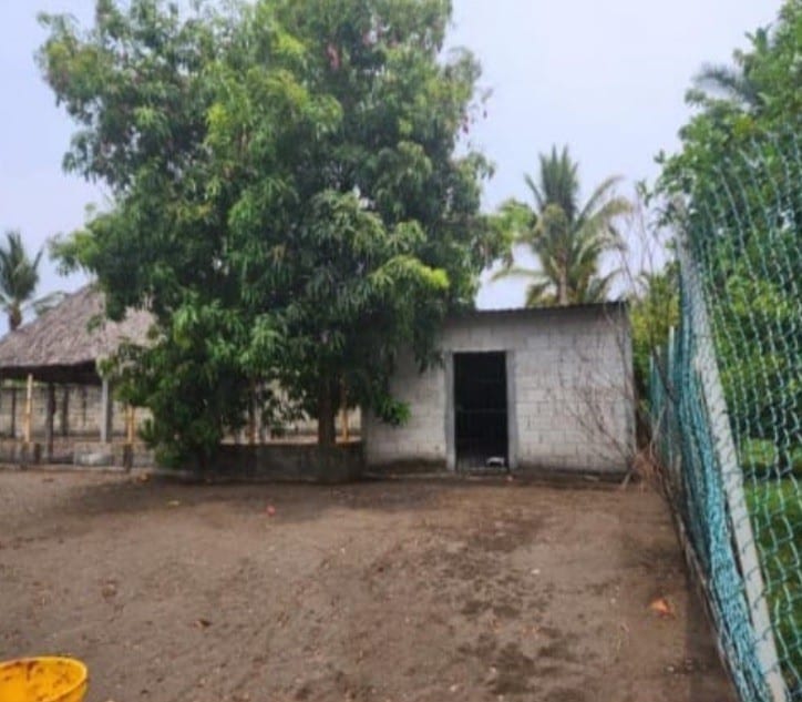 Casa en venta Aldea El Pumpo, Km 146.5 Monterrico — foto 9 de 11