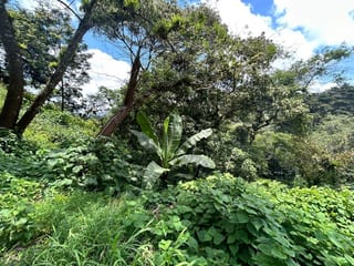 Terreno en Venta Vistalvalle km 9 CES — miniatura 1 de 4