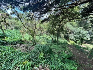 Terreno en venta Vistalvalle km 9 CAES — miniatura 1 de 4
