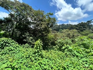 Terreno en Venta Vistalvalle km 9 CES — miniatura 2 de 4