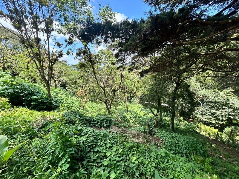 Terreno en venta Vistalvalle km 9 CAES — foto 3 de 4