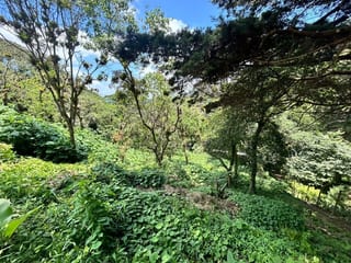 Terreno en venta Vistalvalle km 9 CAES — miniatura 3 de 4