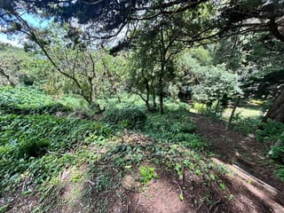 Terreno en venta Vistalvalle km 9 CAES — miniatura 2 de 4