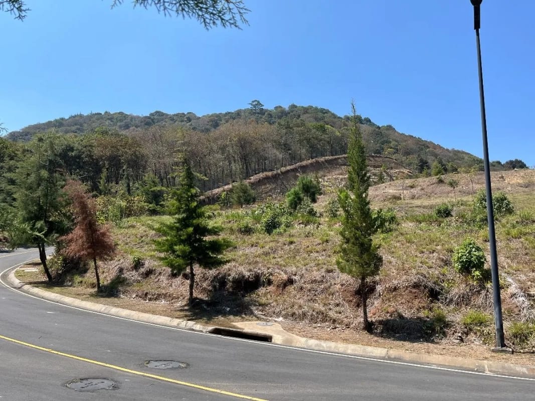 Hermoso terreno en venta en El Pulté Golf — foto 4 de 4