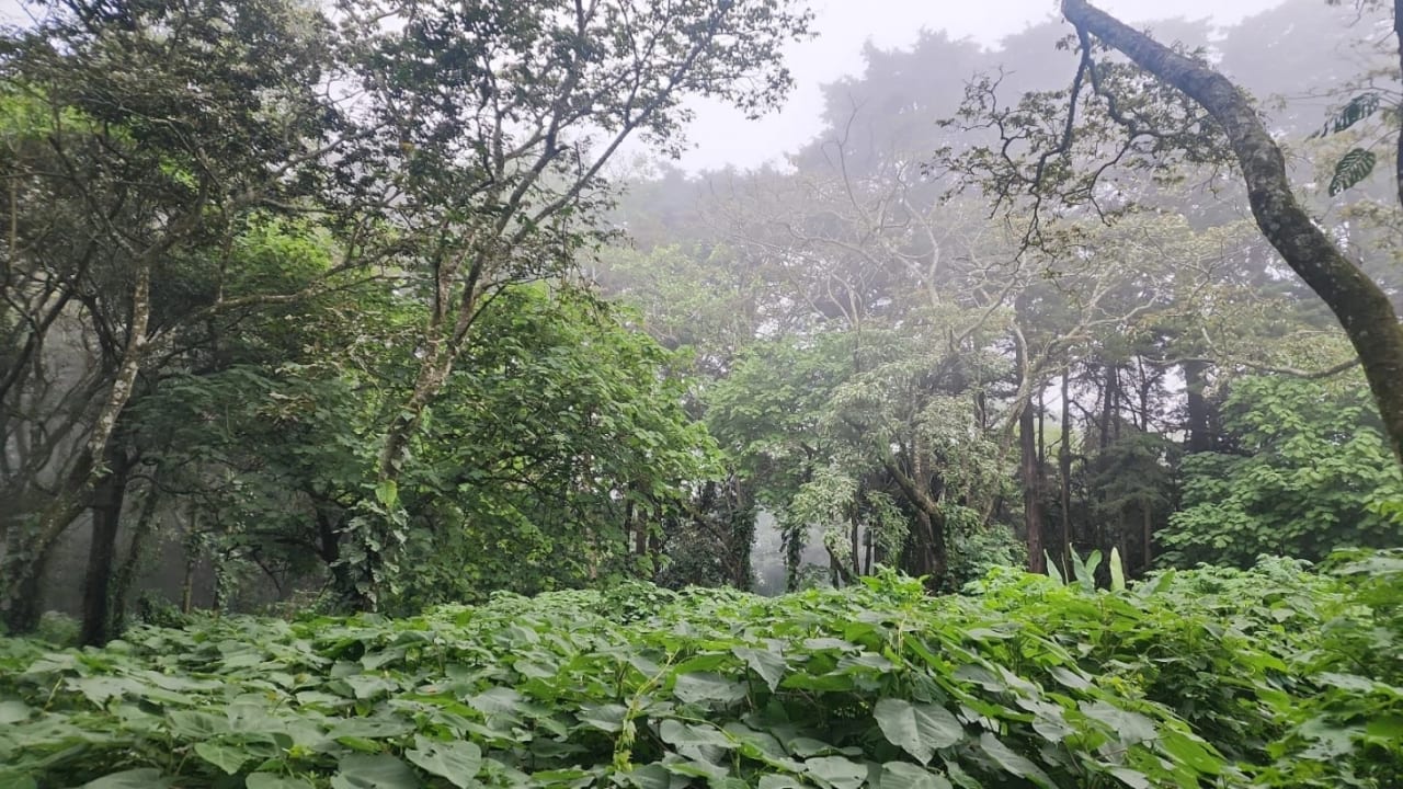Terreno en venta en Premier Campestre km 23 carretera a El Salvador — foto 1 de 7