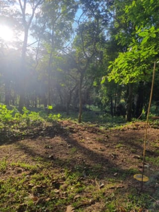 Terreno en venta en Premier Campestre km 23 carretera a El Salvador — miniatura 6 de 7