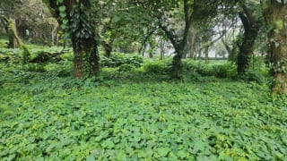 Terreno en venta en Premier Campestre km 23 carretera a El Salvador — miniatura 5 de 7