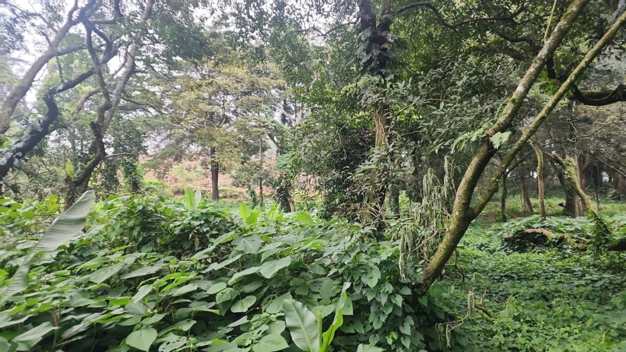Terreno en venta en Premier Campestre km 23 carretera a El Salvador — foto 4 de 7