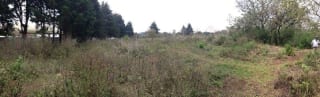 Terreno ubicado en el km 16.5 entrada a Olmeca — miniatura 2 de 5