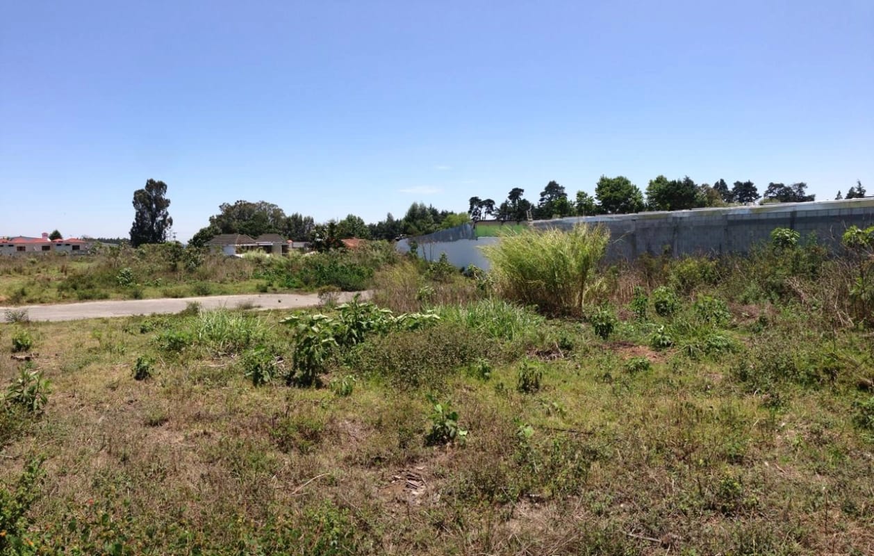 Terreno en Venta ubicado en el km 19.9 de carretera a El Salvador (detras de pricesmart) — foto 3 de 5