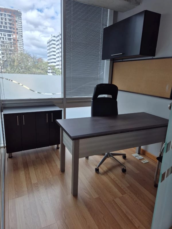Oficina en renta Edificio Platina zona 10 — foto 4 de 17